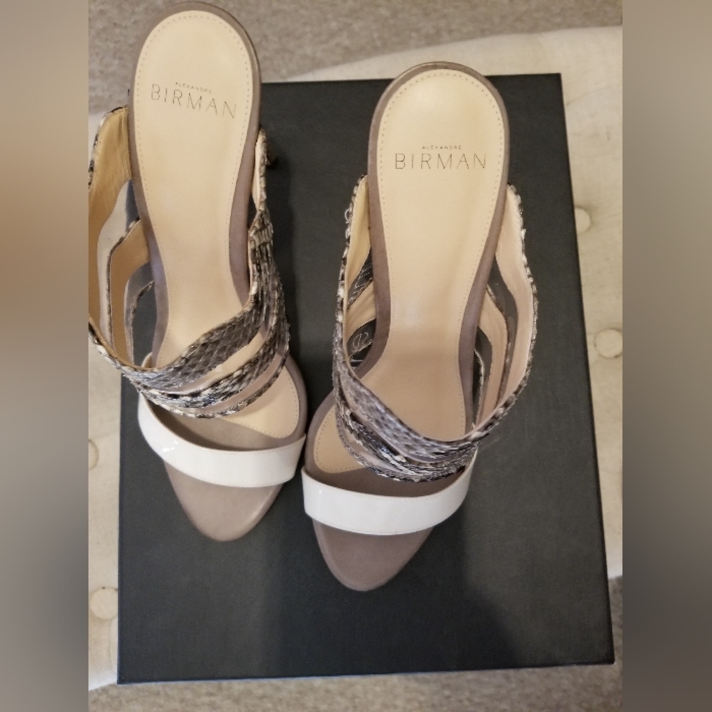 Alexandre Birman Python Mule Slide - image 4